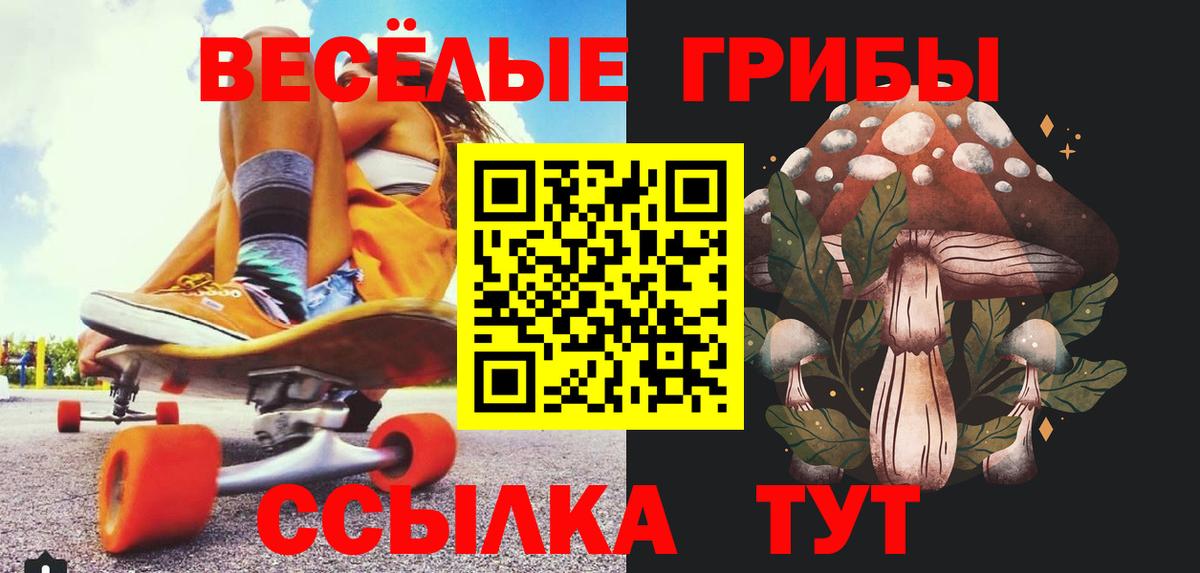 Псилоцибиновые грибы мухоморы Елец