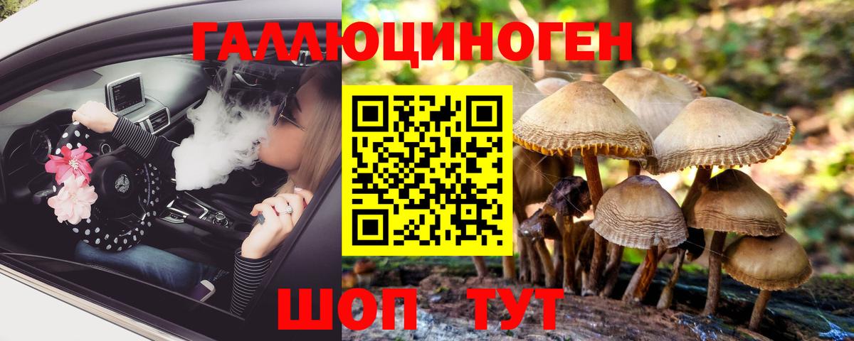 Галлюциногенные грибы Cubensis  Вход с VPN  Елец  Псилоцибиновые грибы GOLDEN TEACHER 